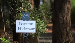 Federation Gardens & Possums Hideaway - Blackheath
